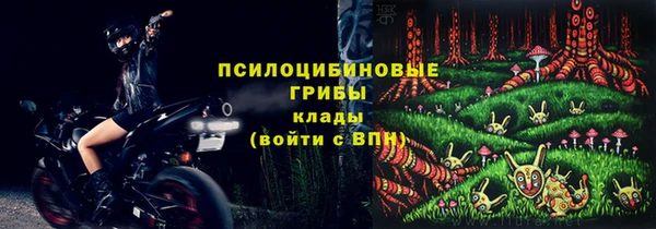прущий лед Алексин