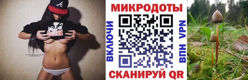 кракен ONION  Черепаново  Псилоцибиновые грибы Psilocybe  мориарти формула  хочу  
